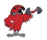 Red Hawks Icon