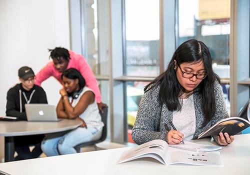 Student Doing Homework
