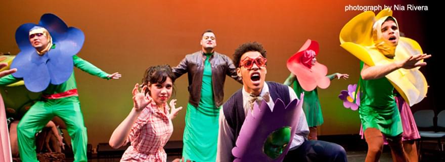 Slideshow-Performing Arts