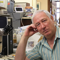 Boris Zakharov, Ph.D.