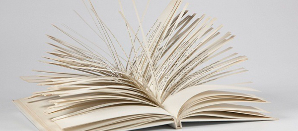 Creative Writing Track: Image of a book