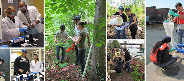 Environmental Science: Collage of different environmental activities