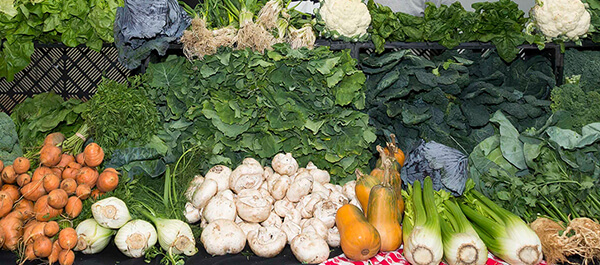 Nutrition and Culinary Management  row of vegetables