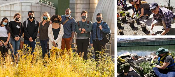 Collage of different environmental activities