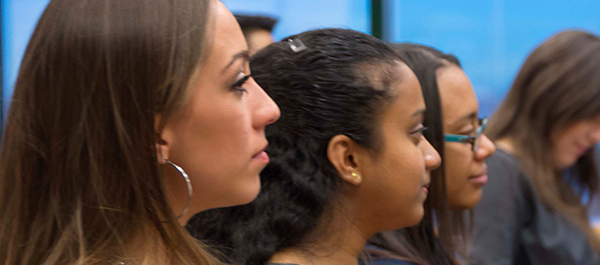 Women, Gender, and Sexuality Studies Option (WGS)