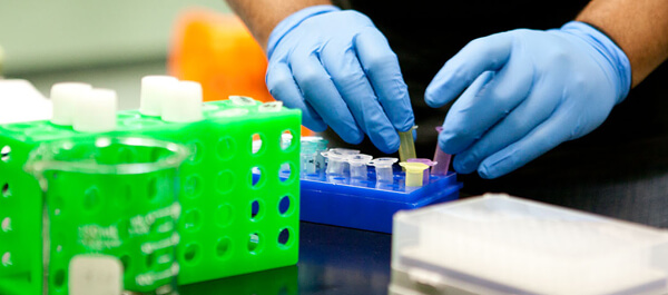 Biology student working with samples