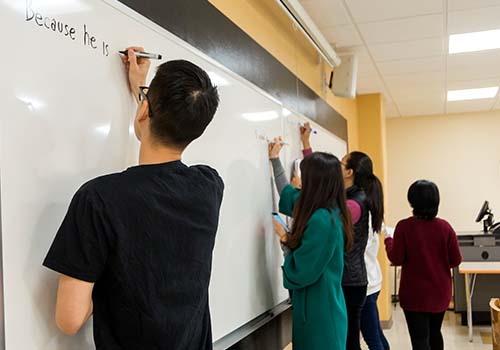 CUNY Language Immersion Program