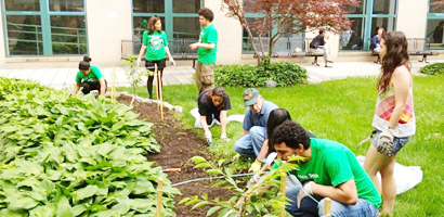 LI: Sustainability