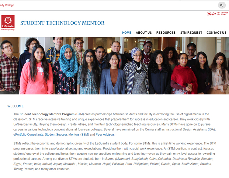 STM Website Project Jooi