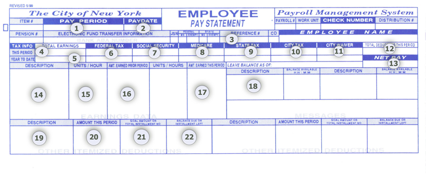 Pay Stub