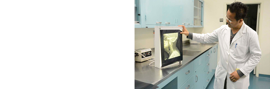 Rad Tech image 2
