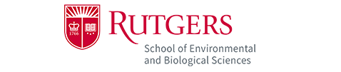 Rutgers Logo