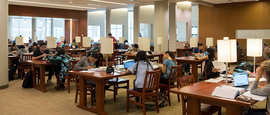 Students studying in the Library, located in E-101