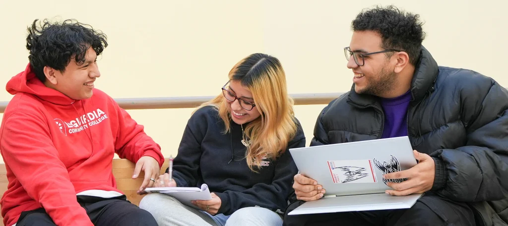 Students studying together