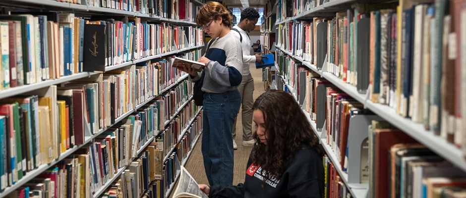 Students reading in the library
