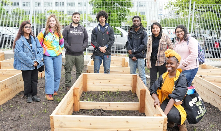 LaGuardia Students Begin Cultivation of New Urban Farm on Campus