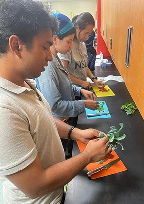 Project SEMBRAR Offers Experiential Learning Opportunities for Students Through Innovative Program Collaboration