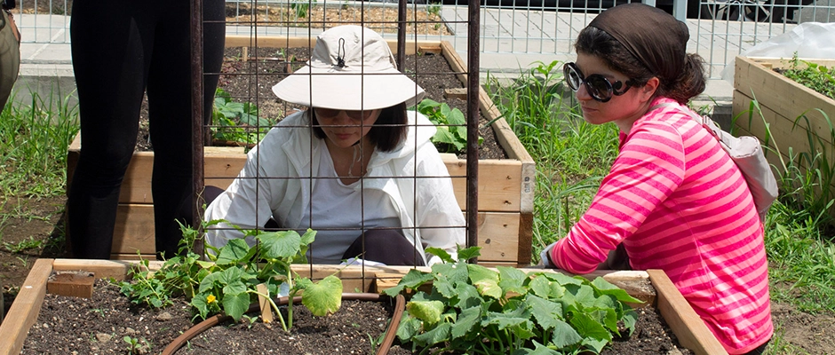 Students and faculty maintaining the farm
