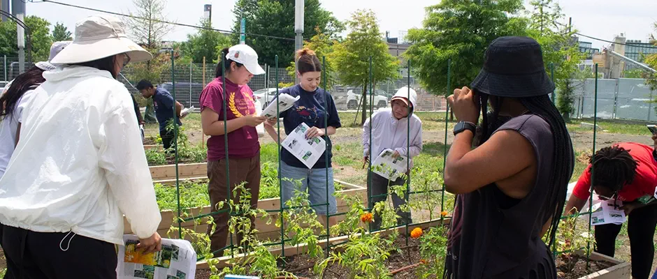 LaGuardia Community College Hosts Grand Opening of Finca La Florecita (The Little Flower Farm)