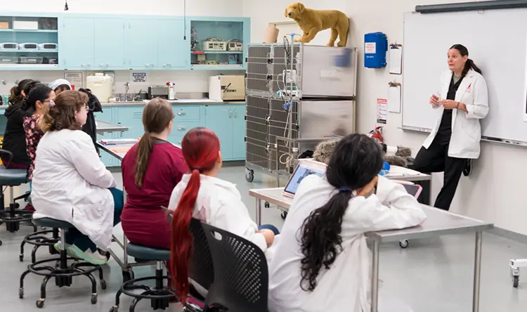 LaGuardia Community College Receives $35,000 from GS Humane Corp. to Support Veterinary Technology Program