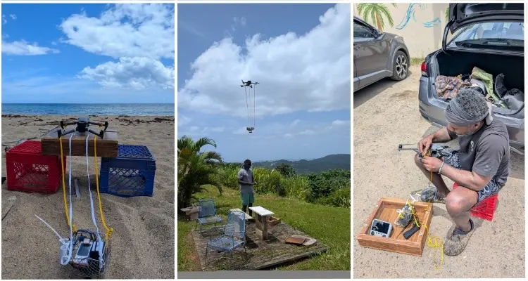LaGuardia Professors Explore The Effects of Saharan Air Dust Layer on Rainfall and Coral Through the DRRUM Project