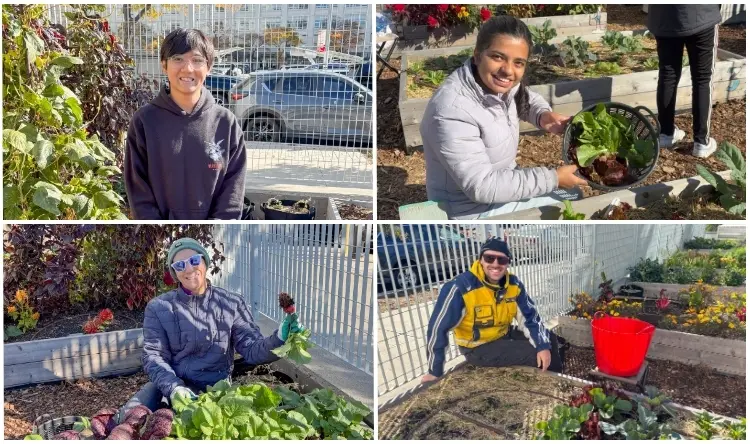 Clockwise from top left: Ashley Cheung, Sudiksha Sharma, Finley Johnson, and Morgan Vlad-McCabe.