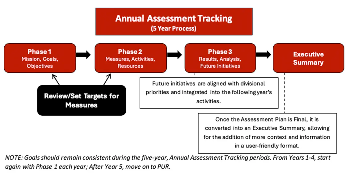 A visual representation of how the AES Assessment Process is conducted