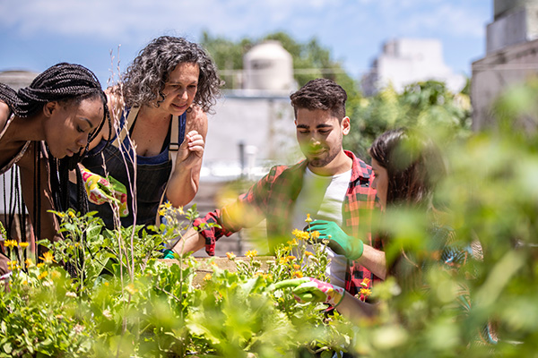 Urban agriculture, agroecology, school and community gardens